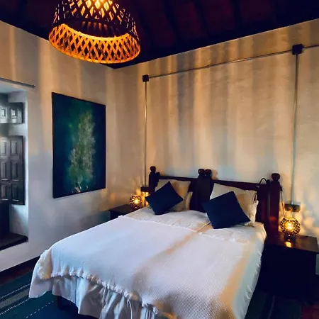 Eco-finca Curbelo - Adults Only Uga